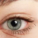 Photosensitive retinal layer image explaining its importance in vision