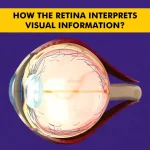 Retina Health